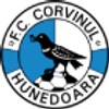 Corvinul Hunedoara