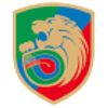 Miedz Legnica