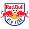 Red Bulls Team Icon