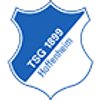 Hoffenheim logo