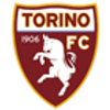 Torino logo