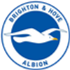 Brighton & Hove Albion logo