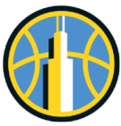 Chicago Sky Team Icon