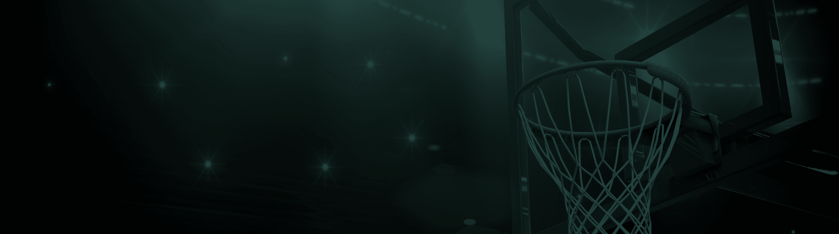 Action Network Banner