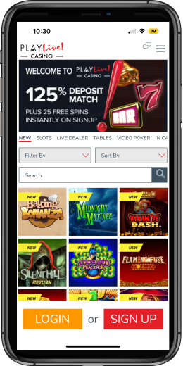 PlayLive Casino App Games