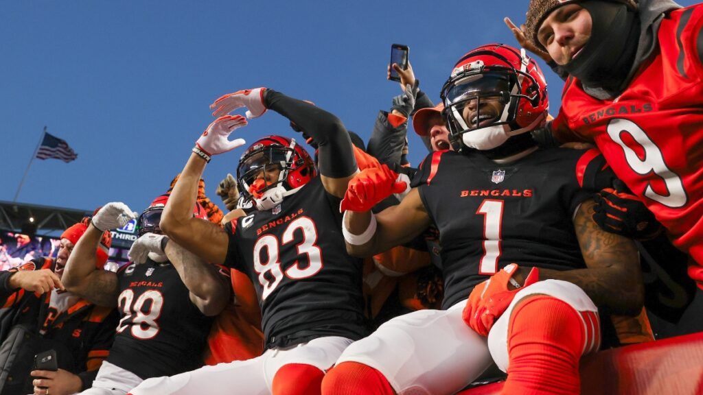 Cincinnati Bengals Futures Odds: Super Bowl, AFC Championship, AFC North,  Win Total, Playoffs