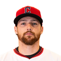 Daniel Schneemann logo