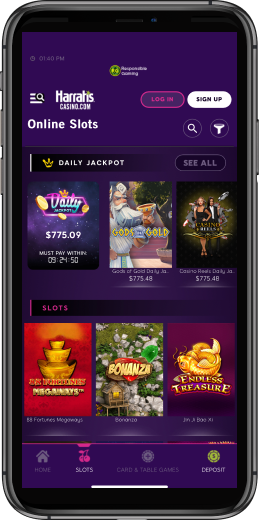 Casino App Image