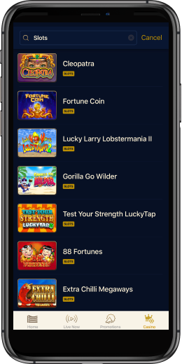 WynnBet Casino App Slots