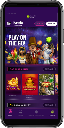 Casino App Image