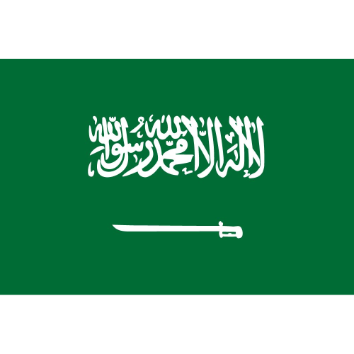 Saudi Arabia logo