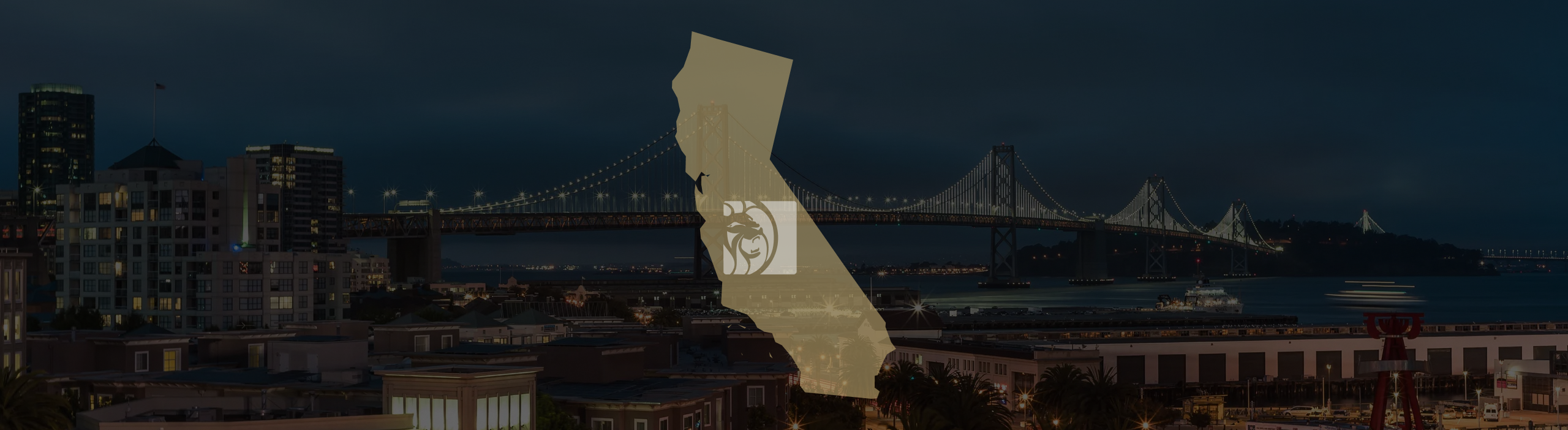 Book Review Banner