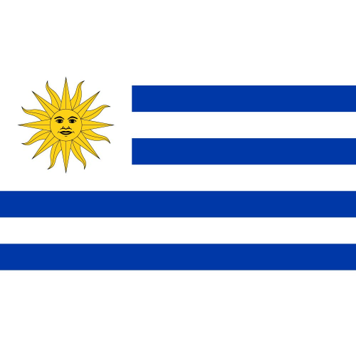 Uruguay Team Icon