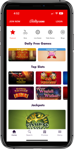 Casino App Image