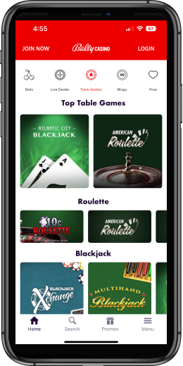 Casino App Image