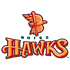Boise Hawks logo