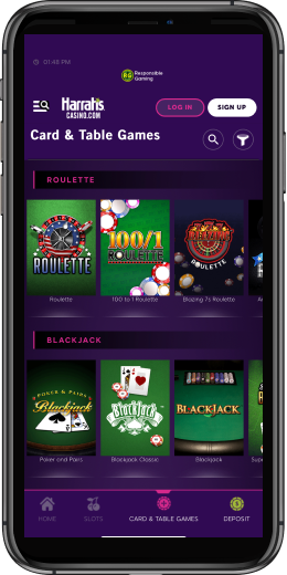 Casino App Image