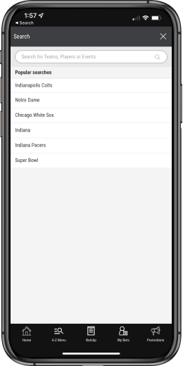 BetMGM app Search Function