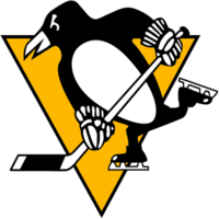 Pittsburgh Penguins Team Icon