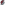 Portland Trail Blazers Team Icon