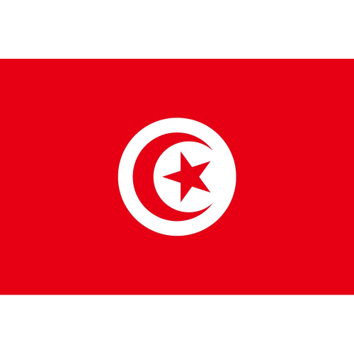 Tunisia Team Icon