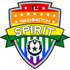 Washington Spirit logo