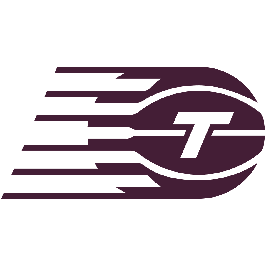 Toronto Tempo Logo