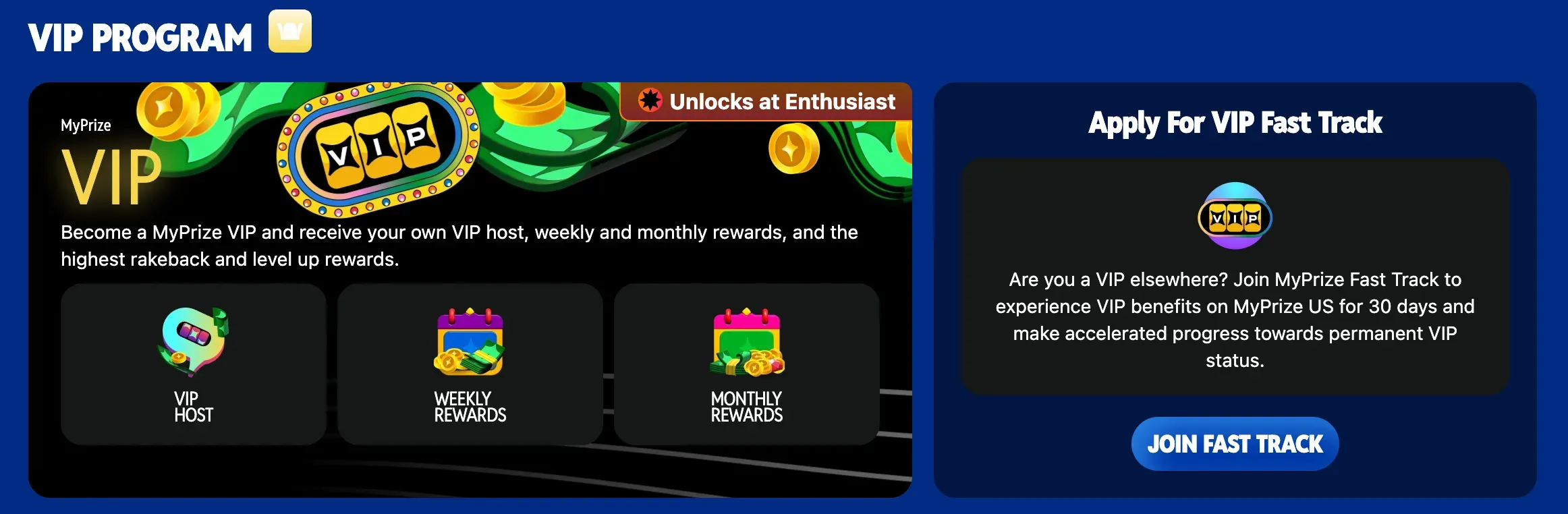 VIP Program And Loyalty Programs