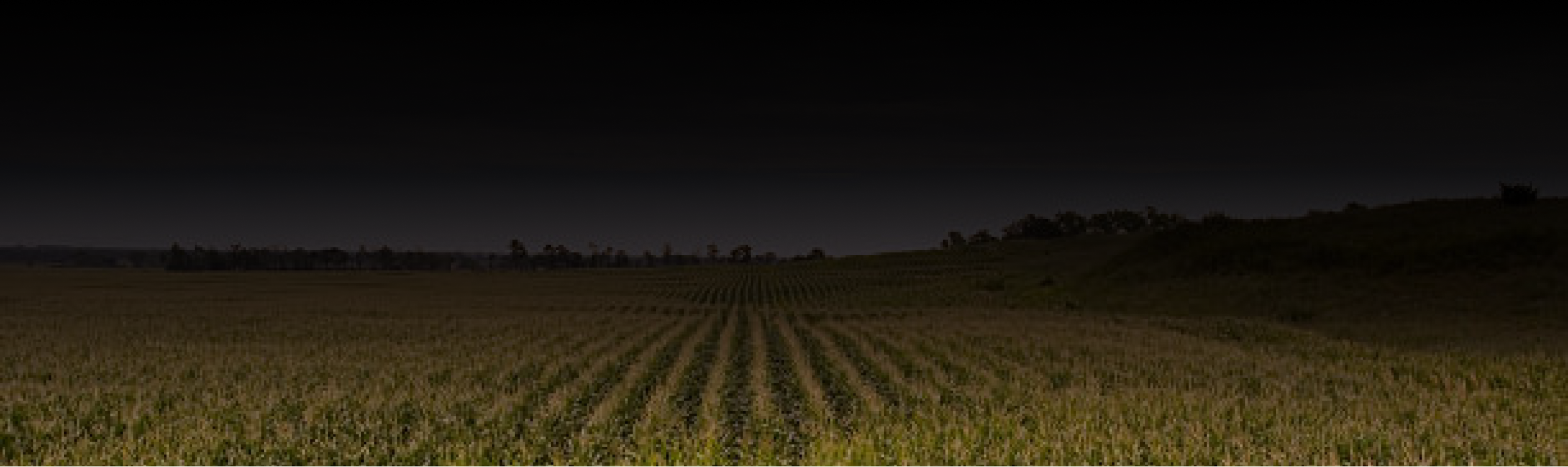 Nebraska State Review Banner