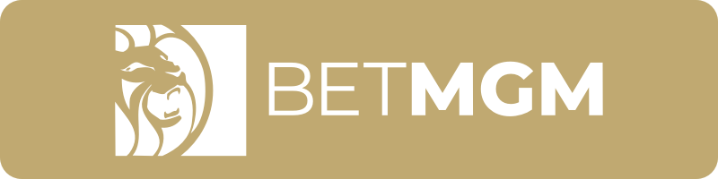 BetMGM NY logo