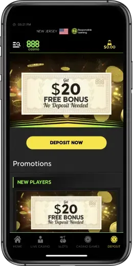 Casino App Image