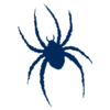 Spiders logo