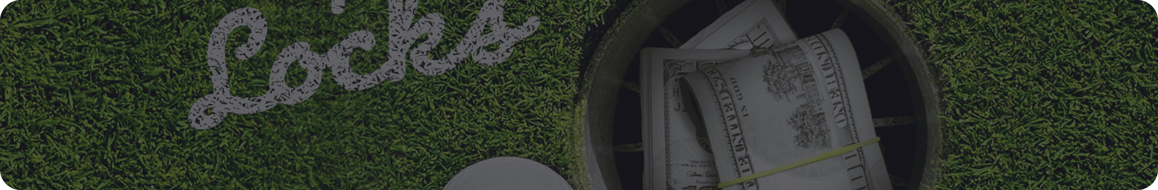 Links + Locks Banner