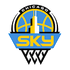Chicago Sky logo