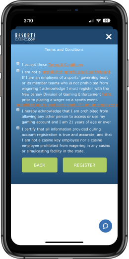 Casino App Image