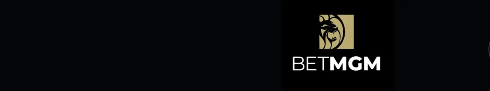 Book Review Banner