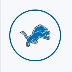 Detroit Lions image