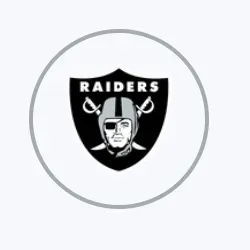 Las Vegas Raiders image