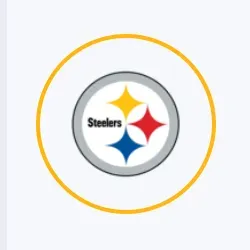 Pittsburgh Steelers image